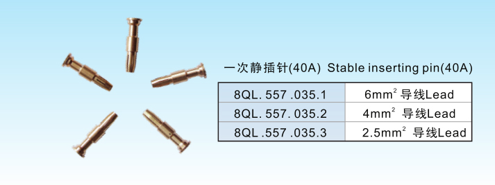 88d.jpg